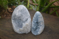 Polished Blue Celestite Standing Free Forms  x 2 From Sakoany, Madagascar - Toprock Gemstones and Minerals 