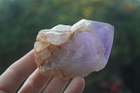 Natural Single Jacaranda Amethyst Crystals  x 6 From Mumbwa, Zambia - Toprock Gemstones and Minerals 