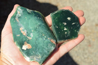 Polished Green Mtorolite Plates x 3 From Zimbabwe - TopRock