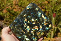 Polished Labradorite Standing Free Form With Spotted Blue & Gold Flash x 1 From Sakoany, Madagascar - TopRock