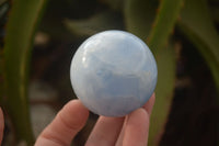 Polished Blue Calcite Spheres x 6 From Ihadilalana, Madagascar