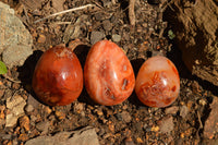 Polished Small Carnelian Agate Eggs  x 12 From Madagascar - TopRock