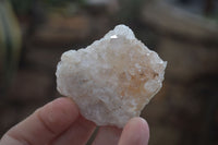 Natural Golden Limonite Quartz Clusters x 24 From Zambia