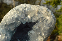 Natural Classic Blue Celestite Geode With Semi Optic Crystals  x 1 From Madagascar - TopRock