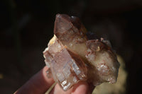 Natural Red Hematoid Quartz Specimens x 12 From Karoi, Zimbabwe