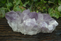 Natural Large Jacaranda Amethyst Crystal Cluster  x 1 From Mumbwa, Zambia - Toprock Gemstones and Minerals 