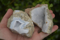 Natural Blue Lace Agate Geode Specimens  x 12 From Nsanje, Malawi - Toprock Gemstones and Minerals 