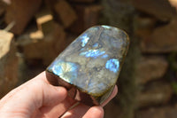 Polished Blue Flash Labradorite Standing Free Forms  x 4 From Tulear, Madagascar - TopRock