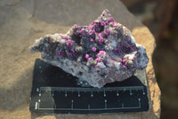 Natural Pink Salrose Cobaltion Dolomite Specimens  x 6 From Congo - Toprock Gemstones and Minerals 