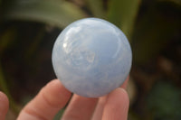 Polished Blue Calcite Spheres x 6 From Ihadilalana, Madagascar