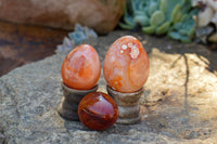 Polished Small Carnelian Agate Eggs  x 12 From Madagascar - TopRock