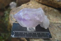 Natural Large Single Jacaranda Amethyst Crystals  x 12 From Mumbwa, Zambia - Toprock Gemstones and Minerals 