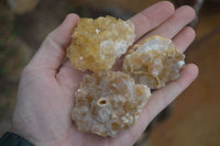 Natural Golden Limonite Quartz Clusters x 24 From Zambia