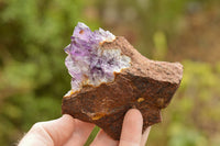 Natural Amethyst & Basalt Geode Specimens  x 12 From Zululand, South Africa - TopRock