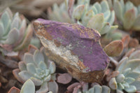 Natural Selected Purpurite Cobbed Specimens  x 9 From Namibia - TopRock