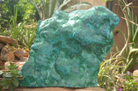 Polished XXL Malacholla (Chrysocolla & Malachite) Standing Display Piece  x 1 From Congo - TopRock