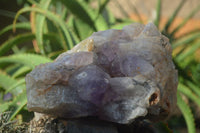 Natural Jacaranda Amethyst Cluster x 1 From Mumbwa, Zambia - TopRock