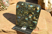 Polished Labradorite Standing Free Form With Spotted Blue & Gold Flash x 1 From Sakoany, Madagascar - TopRock