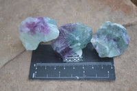 Natural Rough Watermelon Fluorite Cobbed Specimens  x 35 From Uis, Namibia