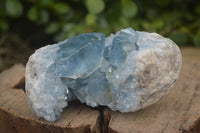 Natural Blue Celestite Crystal Specimens  x 7 From Sakoany, Madagascar