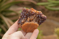 Natural Dark "Amethystos" Amethyst Clusters  x 12 From Kwaggafontein, South Africa - TopRock