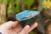 Polished Labradorite Standing Free Forms With Intense Blue & Gold Flash x 3 From Tulear, Madagascar - TopRock