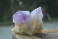 Natural Single Jacaranda Amethyst Crystals  x 6 From Mumbwa, Zambia - Toprock Gemstones and Minerals 