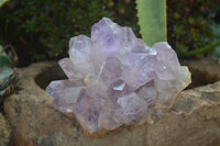 Natural Jacaranda Amethyst Clusters  x 3 From Zambia - TopRock