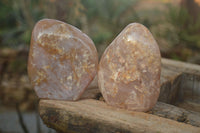 Polished Ocean Flower Agate Standing Free Forms  x 4 From Madagascar