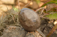 Polished Large Morion Smokey Quartz Eggs x 4 From Madagascar - TopRock