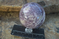 Polished Purple Lepidolite Spheres (One With Rubellite) x 2 From Madagascar