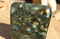 Polished Labradorite Standing Free Form With Spotted Blue & Gold Flash x 1 From Sakoany, Madagascar - TopRock