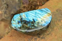 Polished Labradorite Standing Free Forms With Intense Blue & Gold Flash x 3 From Tulear, Madagascar - TopRock