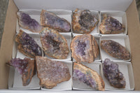 Natural Amethyst & Crystal Centred Geodes  x 12 From Zululand, South Africa - TopRock