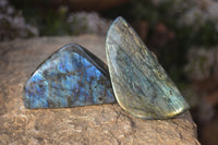 Polished Flashy Labradorite Standing Free Forms  x 6 From Tulear, Madagascar