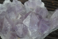 Natural Large Jacaranda Amethyst Crystal Cluster  x 1 From Mumbwa, Zambia - Toprock Gemstones and Minerals 