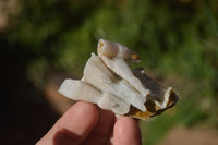 Natural Drusy Coated Quartz x 24 From Alberts Mountain, Lesotho