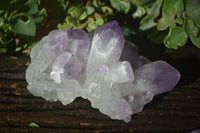 Natural Jacaranda Amethyst Clusters  x 3 From Mumbwa, Zambia - Toprock Gemstones and Minerals 