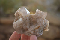 Natural Pale Spirit Quartz Clusters x 12 From Boekenhouthoek, South Africa