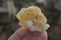 Natural Golden Limonite Quartz Clusters x 24 From Zambia