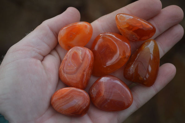 Polished Mini Carnelian Agate Tumble Stones  x 1 Kg Lot From Madagascar