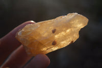 Natural Honey Aragonite Etched & Cobbed Pieces  x 12 From Namibia - Toprock Gemstones and Minerals 