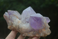 Natural Jacaranda Amethyst Crystal Clusters  x 3 From Mumbwa, Zambia - Toprock Gemstones and Minerals 