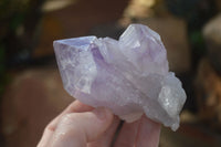 Natural Large Single Jacaranda Amethyst Crystals  x 12 From Mumbwa, Zambia - Toprock Gemstones and Minerals 