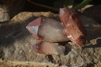 Natural Red Hematoid Quartz Specimens x 12 From Karoi, Zimbabwe