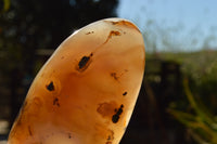 Polished Semi Translucent Dendritic Agate Standing Free Forms  x 2 From Moralambo, Madagascar - TopRock