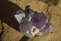 Natural Dark Amethyst Crystal Clusters x 12 From Zambia