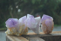 Natural Single Jacaranda Amethyst Crystals  x 6 From Mumbwa, Zambia - Toprock Gemstones and Minerals 