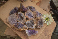 Natural Amethyst & Crystal Centred Geodes  x 12 From Zululand, South Africa - TopRock