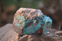 Natural Blue Shattuckite Specimens x 12 From Kaokoveld, Namibia